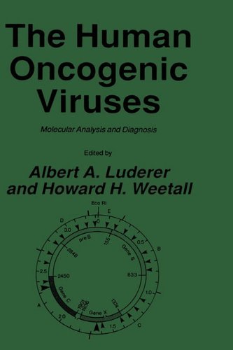 Cover for Albert A. Luderer · The Human Oncogenic Viruses: Molecular Analysis and Diagnosis - The Oncogenes (Hardcover Book) [1986 edition] (1986)