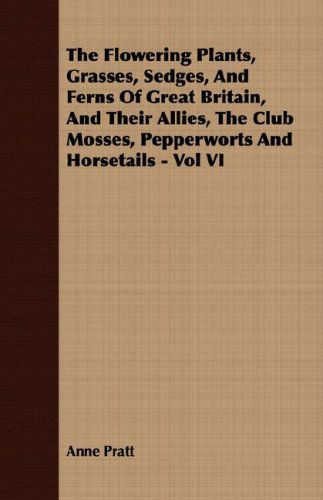 Cover for Anne Pratt · The Flowering Plants, Grasses, Sedges, and Ferns of Great Britain, and Their Allies, the Club Mosses, Pepperworts and Horsetails - Vol Vi (Paperback Book) (2007)