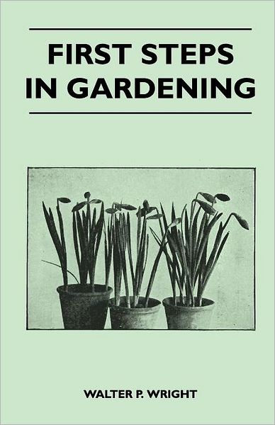 Cover for Walter P Wright · First Steps in Gardening - a Concise Introduction to Practical Horticulture, Showing Beginners How to Succeed with All the Most Popular Flowers, Fruit (Paperback Book) (2010)