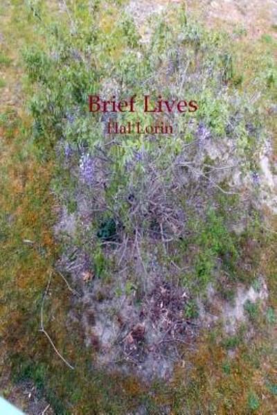 Cover for Hal Lorin · Brief Lives (Paperback Bog) (2016)