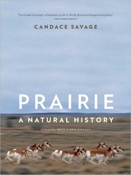 Cover for Candace Savage · Prairie: A Natural History - David Suzuki Institute (Paperback Book) [Second edition] (2011)