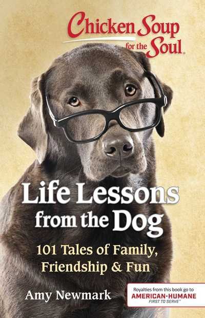 Cover for Amy Newmark · Chicken Soup for the Soul: Life Lessons from the Dog: 101 Tales of Family, Friendship &amp; Fun (Paperback Bog) (2019)