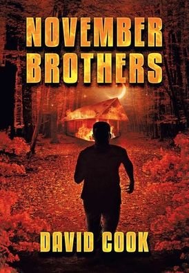 Cover for David Cook · November Brothers (Hardcover Book) (2020)