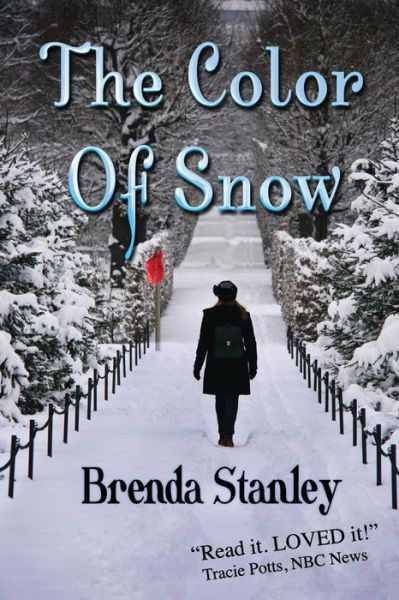 Cover for Brenda Stanley · The Color of Snow (Paperback Book) (2015)