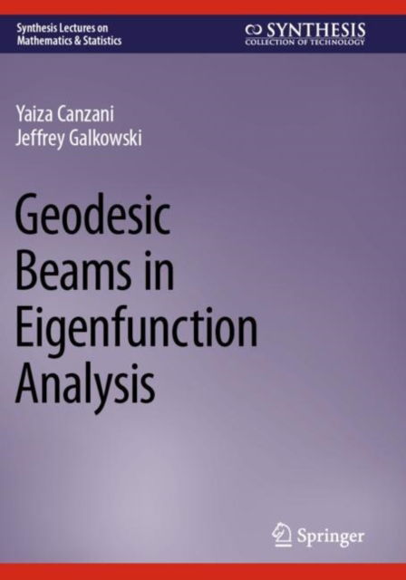 Cover for Yaiza Canzani · Geodesic Beams in Eigenfunction Analysis - Synthesis Lectures on Mathematics &amp; Statistics (Paperback Book) [2023 edition] (2024)