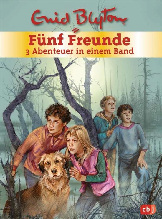 Cover for Blyton · Fünf Freunde - 3 Abenteuer in ei (Book)
