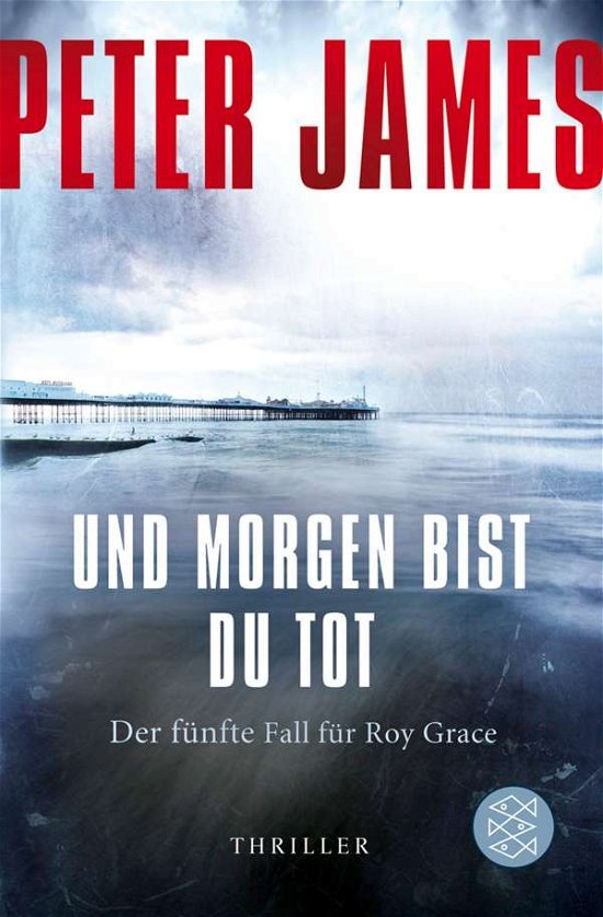 Cover for Peter James · Fischer TB.18288 James.Und morgen bist (Book)