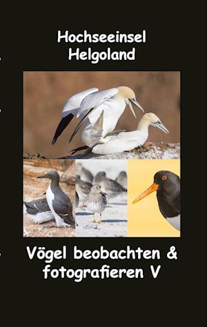 Cover for Sr. fotolulu · Hochseeinsel Helgoland (Book) (2022)