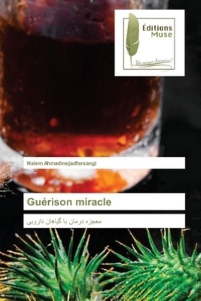 Cover for Naiem Ahmadinejadfarsangi · Guerison miracle (Paperback Bog) (2021)