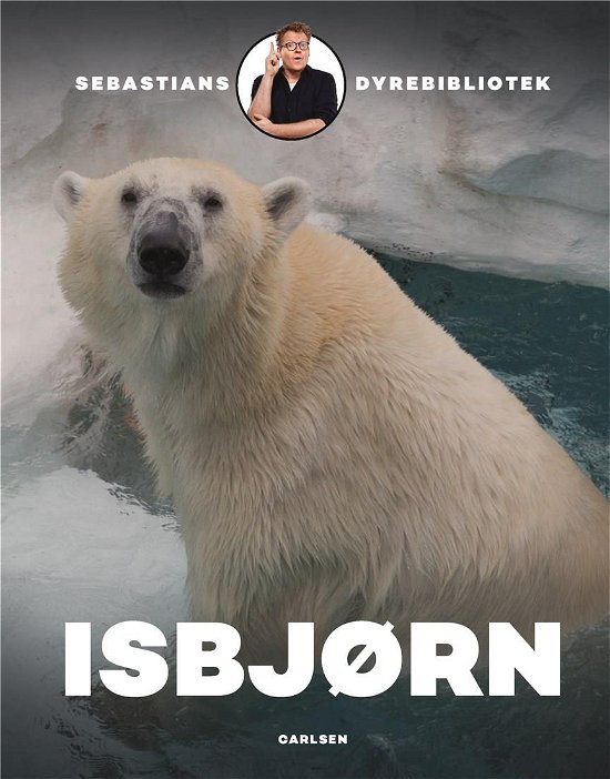 Cover for Sebastian Klein · Sebastians dyrebibliotek: Sebastians dyrebibliotek: Isbjørn (Inbunden Bok) [1:a utgåva] (2019)