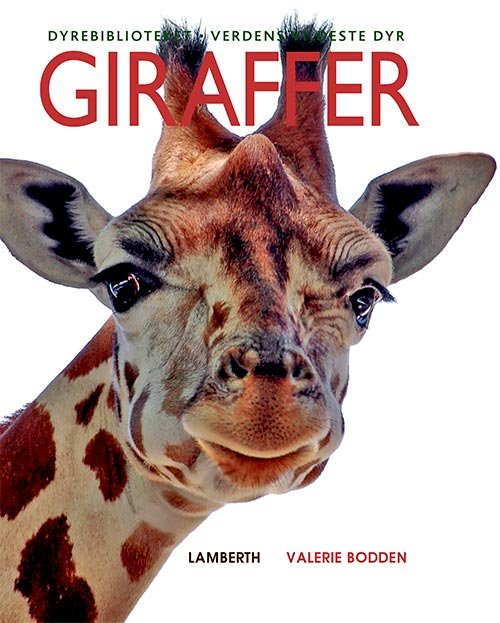 Cover for Valerie Bodden · Verdens vildeste dyr: Giraffer (Bound Book) [1e uitgave] (2020)