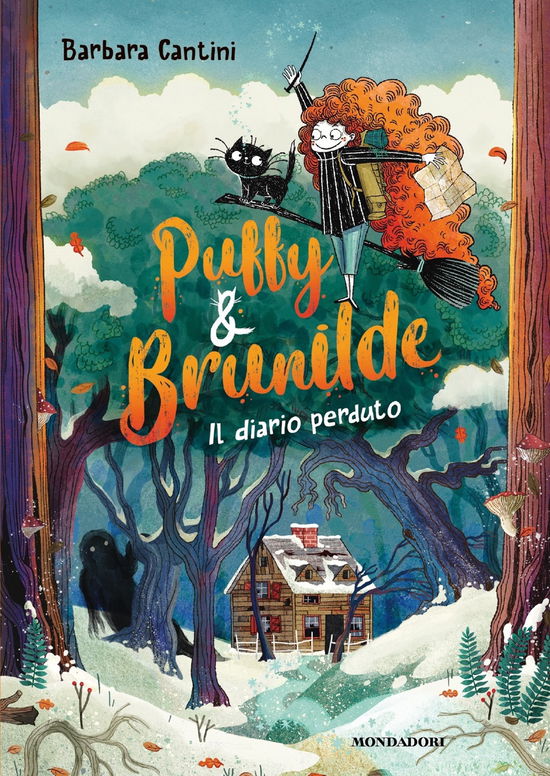 Cover for Barbara Cantini · Il Diario Perduto. Puffy &amp; Brunilde (Book)