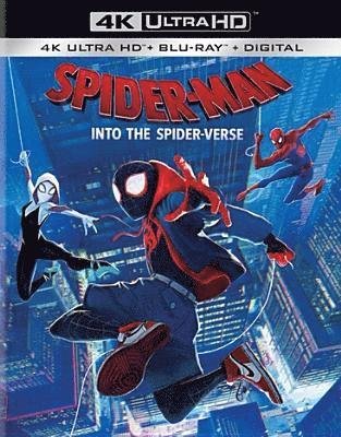 Cover for Spider-man: into the Spider-verse (4K UHD Blu-ray) (2019)