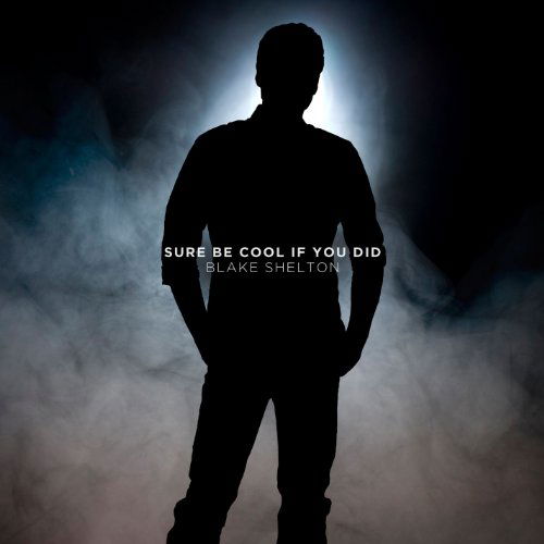 Cover for Blake Shelton (CD Single) · Sure Be Cool If You Did / There's A New Kid In Town (CD) (2013)