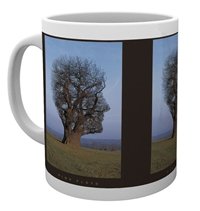 Cover for Pink Floyd · Pink Floyd: Tree (Tazza) (Legetøj) [White edition] (2019)