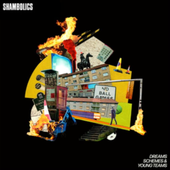 Dreams. Schemes & Young Teams - Shambolics - Muzyka - SCRUFF OF THE NECK RECORDS - 5060675600887 - 16 lutego 2024