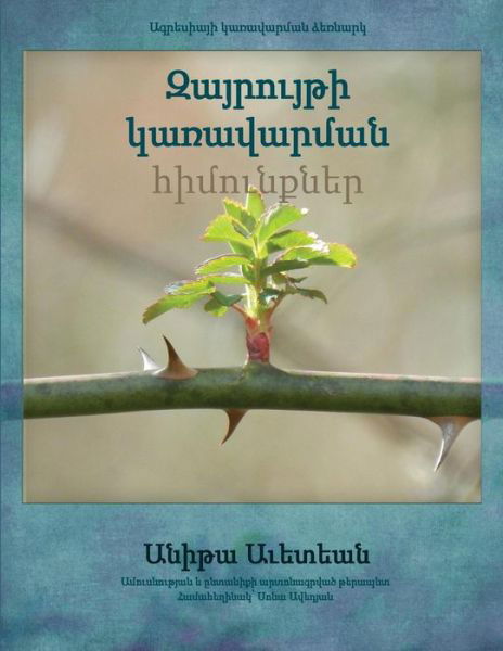 Cover for Anita Avedian · Anger Management Essentials in Armenian (Paperback Bog) (2015)