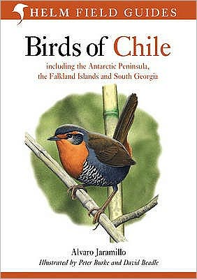 Cover for Alvaro Jaramillo · Birds of Chile - Helm Field Guides (Pocketbok) (2003)