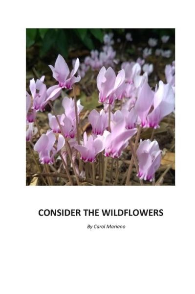 Cover for Carol a Mariano · Consider the Wildflowers (Paperback Book) (2019)