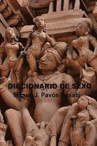 Cover for Miquel J Pavon Besalu · Diccionario De Sexo (Paperback Book) (2012)