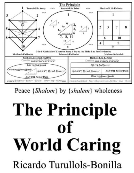 Cover for Ricardo Turullols-Bonilla · The Principle of World Caring (Paperback Book) (2018)