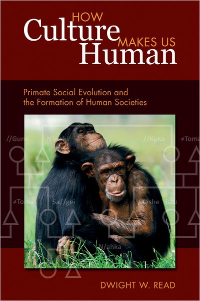 Cover for Dwight W Read · How Culture Makes Us Human: Primate Social Evolution and the Formation of Human Societies - Key Questions in Anthropology (Hardcover Book) (2011)