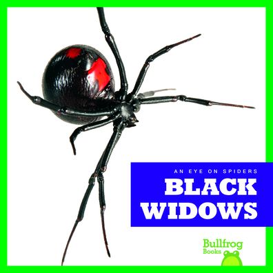 Cover for Jenna Lee Gleisner · Black Widows (Hardcover Book) (2018)