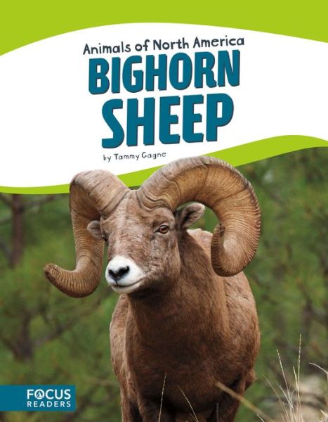 Cover for Tammy Gagne · Animals of North America: Bighorn Sheep (Paperback Book) (2017)