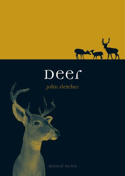 Cover for John Fletcher · Deer - Animal Series (Paperback Book) (2013)