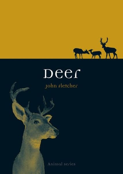 Cover for John Fletcher · Deer - Animal Series (Paperback Book) (2013)