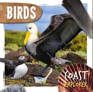 Cover for Robin Twiddy · Birds - Coast Explorer (Hardcover Book) (2022)