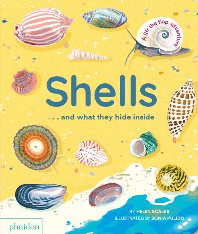 Cover for Helen Scales · Shells... and what they hide inside: A Lift-the-Flap Adventure (Kartongbok) (2024)