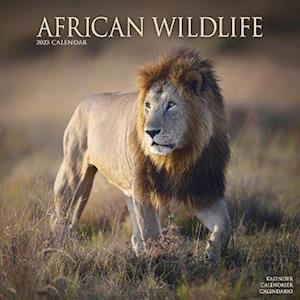 Cover for Kalender · African Wildlife 2023 Wall Calendar (Calendar) (2022)