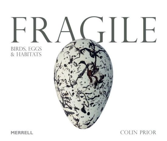 Cover for Colin Prior · Fragile: Birds, Eggs &amp; Habitats (Hardcover Book) (2020)