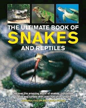 Cover for Barbara Taylor · Snakes and Reptiles, Ultimate Book of: Discover the amazing world of snakes, crocodiles, lizards and turtles, with over 700 photographs (Hardcover bog) (2022)