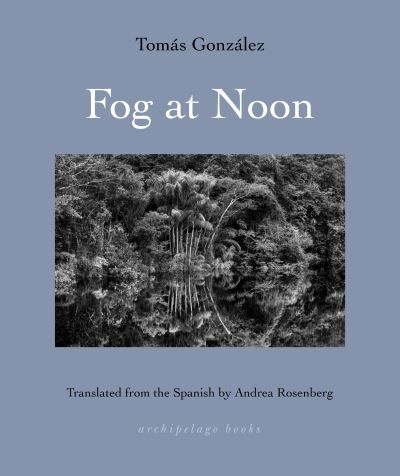 Cover for Tomas Gonzalez · Fog at Noon (Bok) (2024)