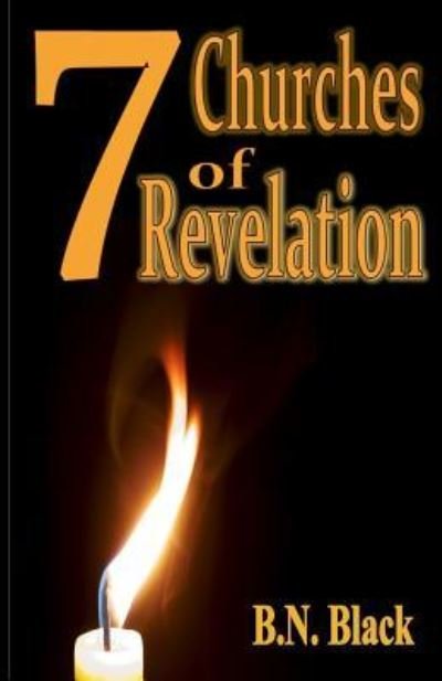 Cover for B N Black · 7 Churches of Revelation (Pocketbok) (2017)