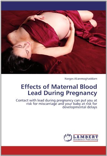 Cover for Narges Alianmoghaddam · Effects of Maternal Blood Lead During Pregnancy: Contact with Lead During Pregnancy Can Put You at Risk for Miscarriage and Your Baby at Risk for Developmental Delays (Paperback Book) (2012)