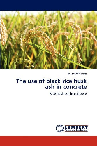 Cover for Bui Le Anh Tuan · The Use of Black Rice Husk Ash in Concrete (Paperback Book) (2013)