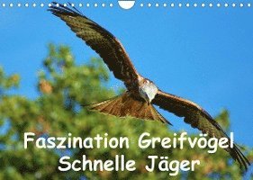 Cover for Lutz Klapp · Faszination Greifvögel Schnelle Jäger (Wandkalender 2022 DIN A4 quer) (Kalender) (2021)