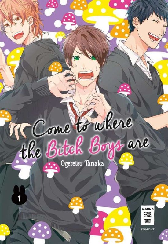 Come to where the Bitch Boys are - Tanaka - Livros -  - 9783770495887 - 