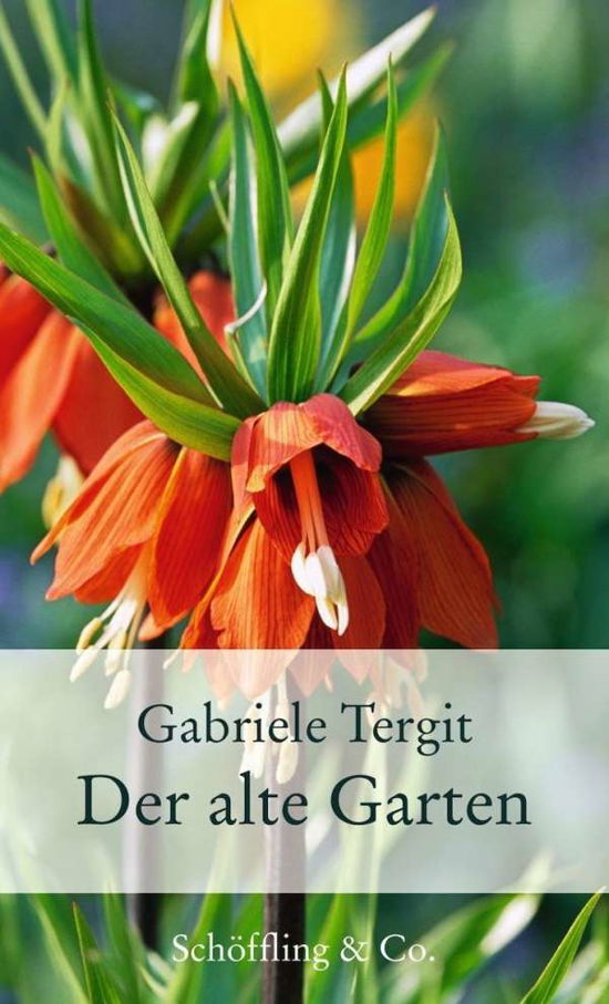 Cover for Tergit · Der alte Garten (Book)