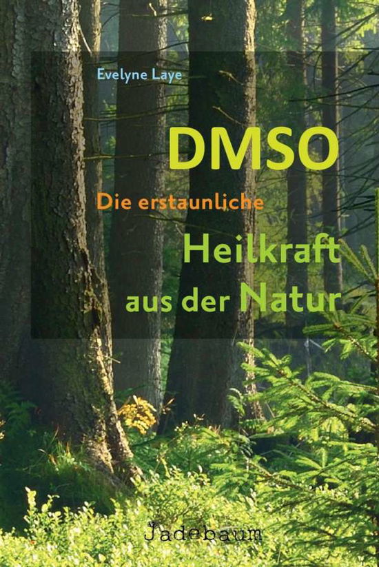 Cover for Laye · DMSO - Die erstaunliche Heilkraft (Bok)