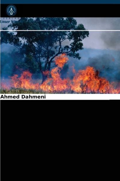 Cover for Ahmed Dahmeni · Entwicklung einer Waldbrandgefahrenkarte (Paperback Book) (2021)