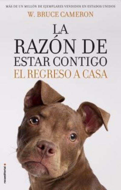Cover for W Bruce Cameron · La Razon de Estar Contigo. El Regreso a Casa (Paperback Book) (2018)