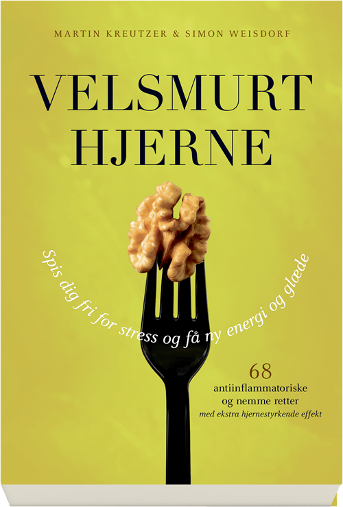 Cover for Martin Kreutzer; Simon Weisdorf · Velsmurt hjerne (Heftet bok) [1. utgave] (2019)