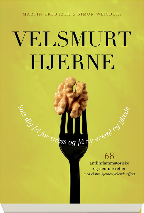 Cover for Martin Kreutzer; Simon Weisdorf · Velsmurt hjerne (Sewn Spine Book) [1st edition] (2019)