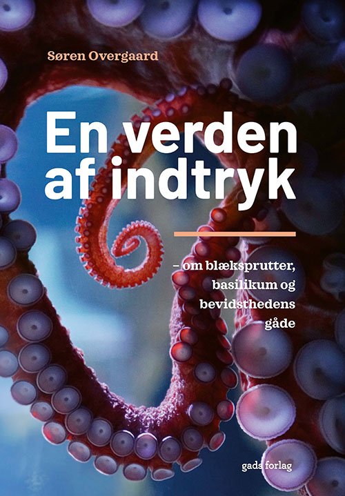 Cover for Søren Overgaard · En verden af indtryk (Hæftet bog) [1. udgave] (2023)