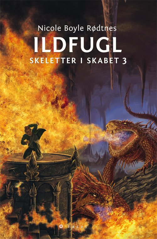 Cover for Nicole Boyle Rødtnes · Skeletter i skabet 3: Ildfugl (Hardcover Book) [1st edition] [Indbundet] (2012)
