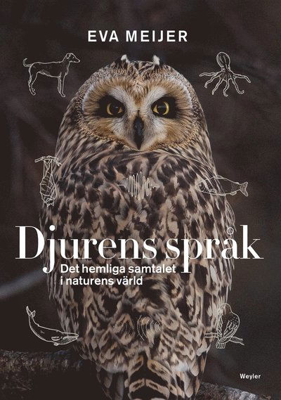 Cover for Eva Meijer · Djurens språk : det hemliga samtalet i naturens värld (ePUB) (2019)